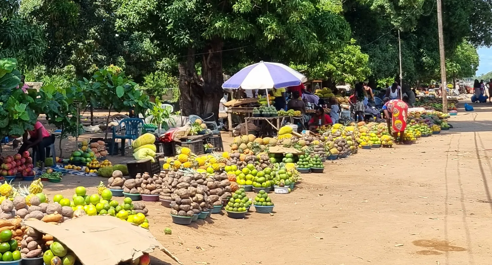 un marché local Mozambicain