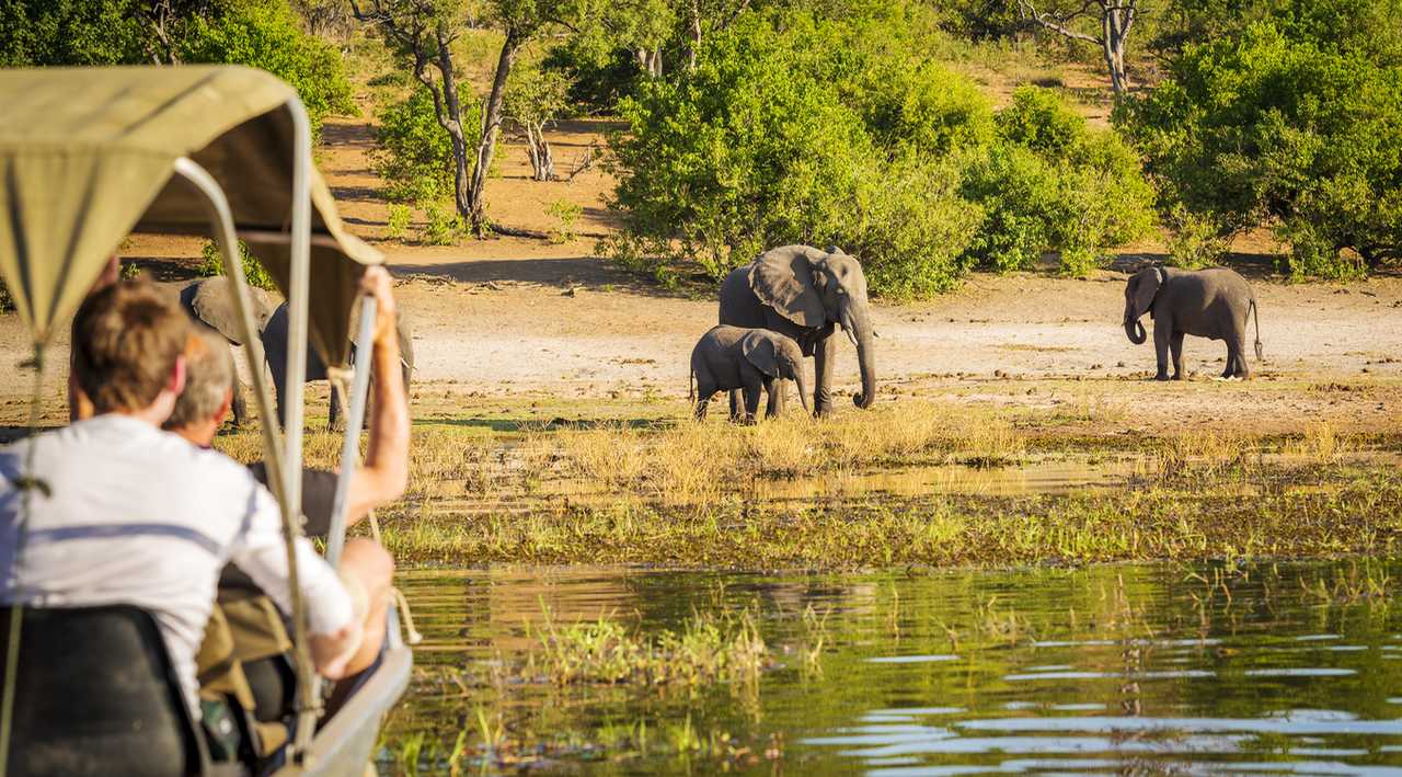 Photo de safari en Afrique